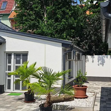 Pompar Magnolia Szeged