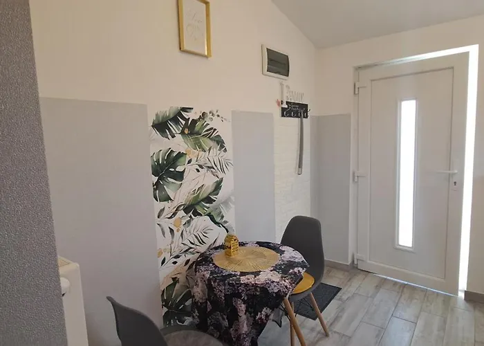 Pompar Magnolia شقة سيغيد