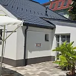 Pompar Magnolia Szeged